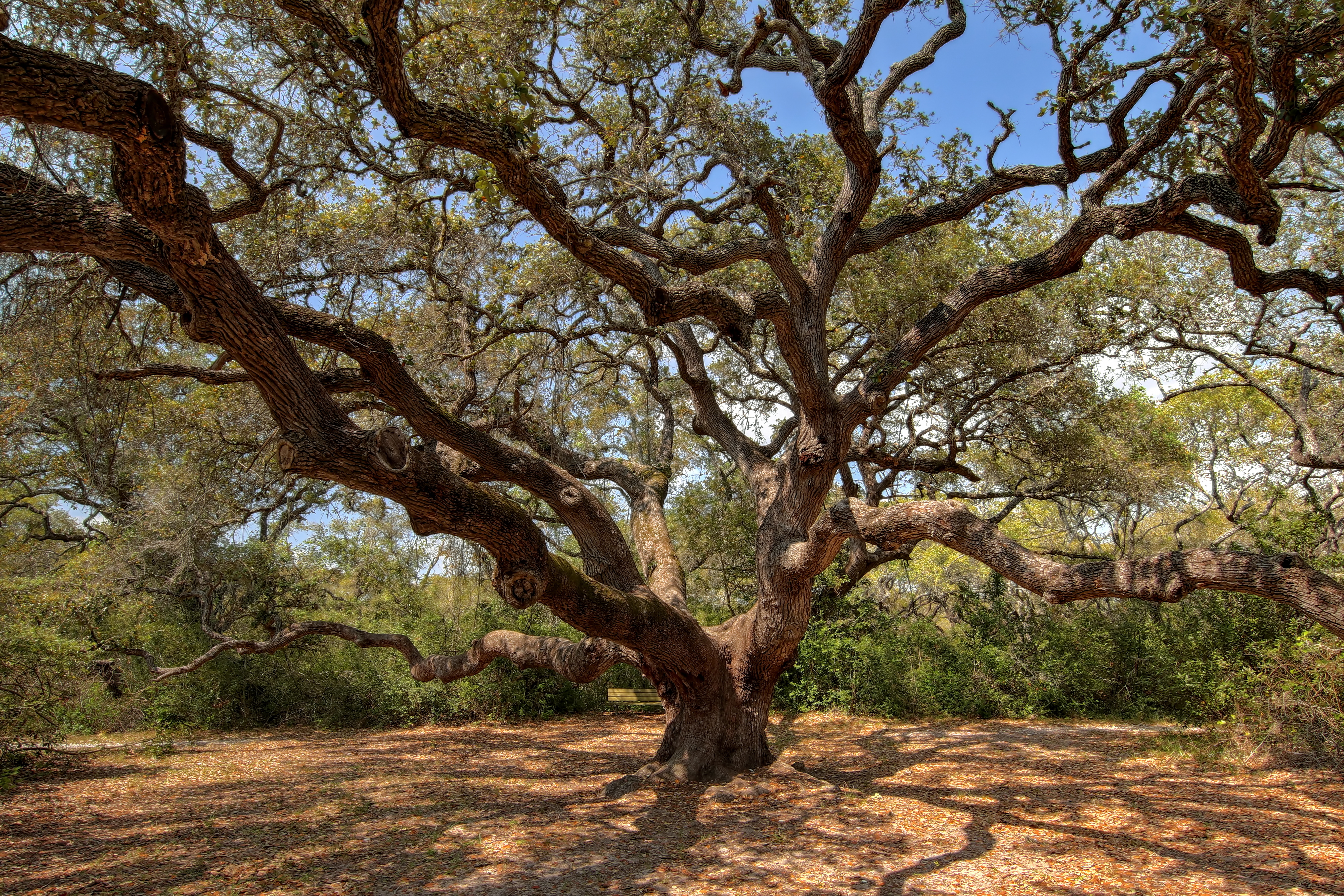 Wimberley